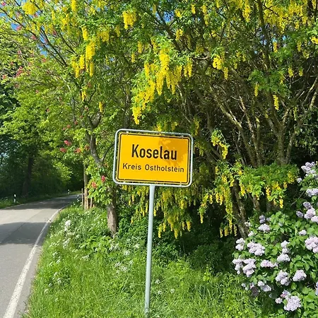 Gut Iv Koselau